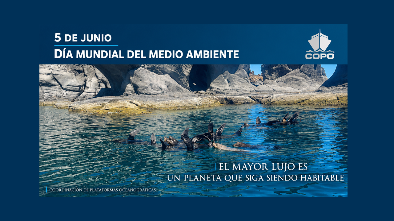 5junio-mod
